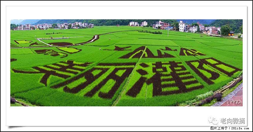 【春天,广西桂林灌阳县向您发出邀请!】开篇 - 游山玩水 - 沧州生活社区 - 沧州28生活网 cangzhou.28life.com