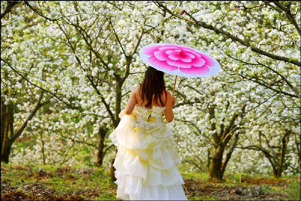 【春天，广西桂林灌阳县向您发出邀请！】我们在灌阳看梨花 - 游山玩水 - 沧州生活社区 - 沧州28生活网 cangzhou.28life.com