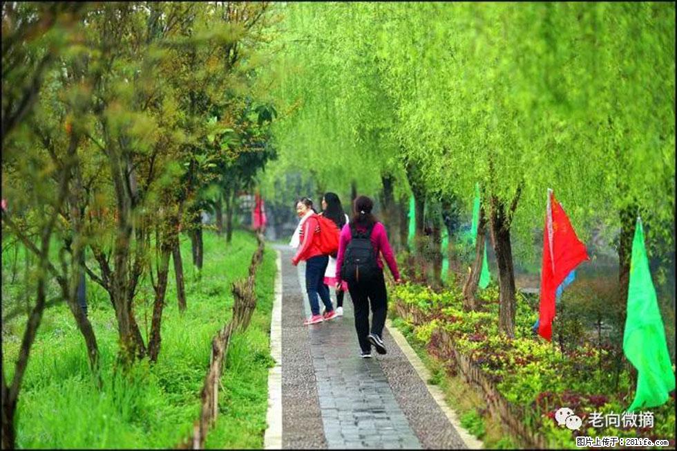 【春天,广西桂林灌阳县向您发出邀请!】江口老街又逢春 - 游山玩水 - 沧州生活社区 - 沧州28生活网 cangzhou.28life.com