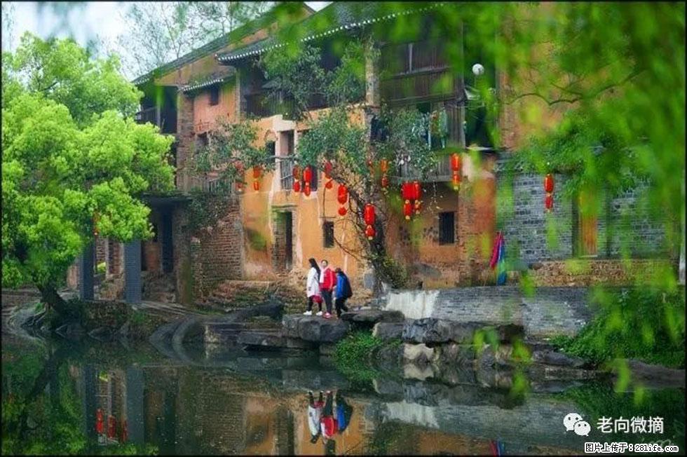【春天,广西桂林灌阳县向您发出邀请!】江口老街又逢春 - 游山玩水 - 沧州生活社区 - 沧州28生活网 cangzhou.28life.com