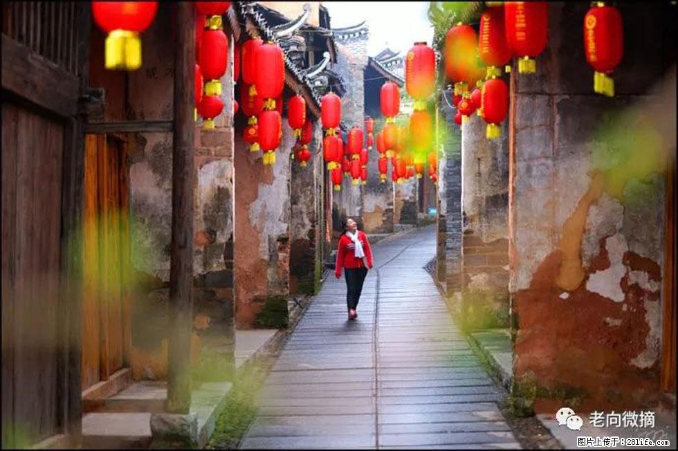 【春天,广西桂林灌阳县向您发出邀请!】江口老街又逢春 - 游山玩水 - 沧州生活社区 - 沧州28生活网 cangzhou.28life.com