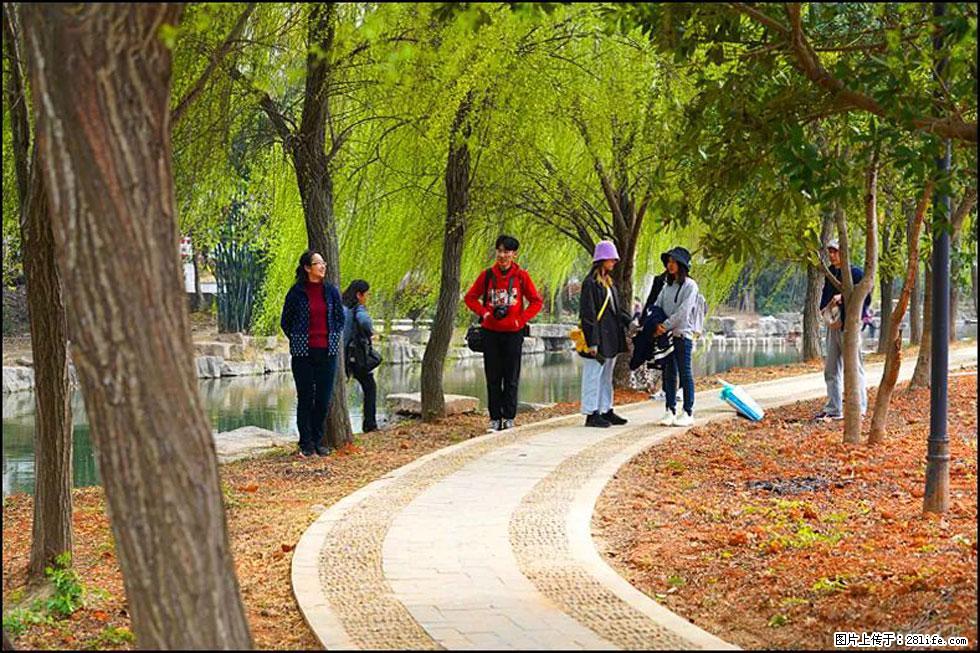 【春天,广西桂林灌阳县向您发出邀请!】江口老街又逢春 - 游山玩水 - 沧州生活社区 - 沧州28生活网 cangzhou.28life.com