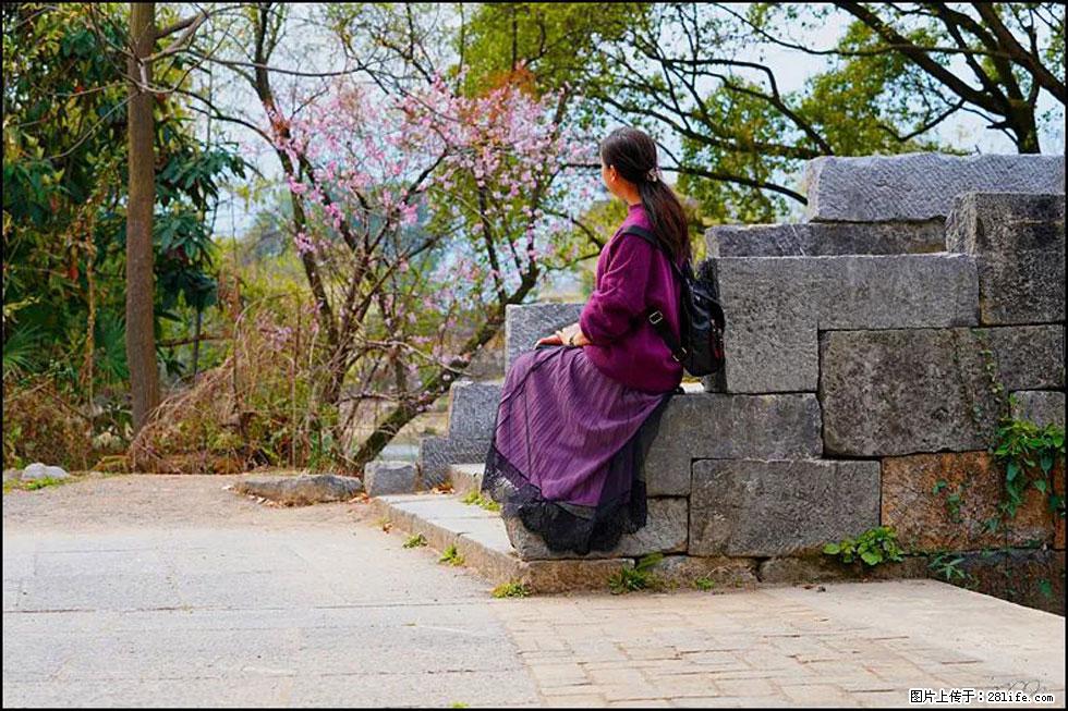 【春天,广西桂林灌阳县向您发出邀请!】江口老街又逢春 - 游山玩水 - 沧州生活社区 - 沧州28生活网 cangzhou.28life.com