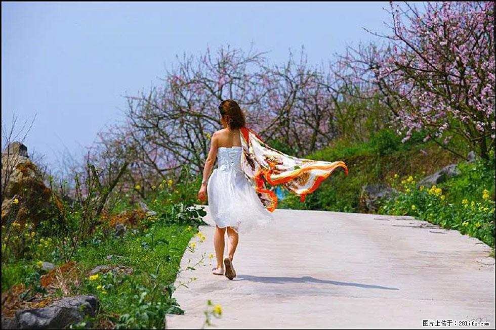 【春天，广西桂林灌阳县向您发出邀请！】望月岭上桃花开 - 游山玩水 - 沧州生活社区 - 沧州28生活网 cangzhou.28life.com