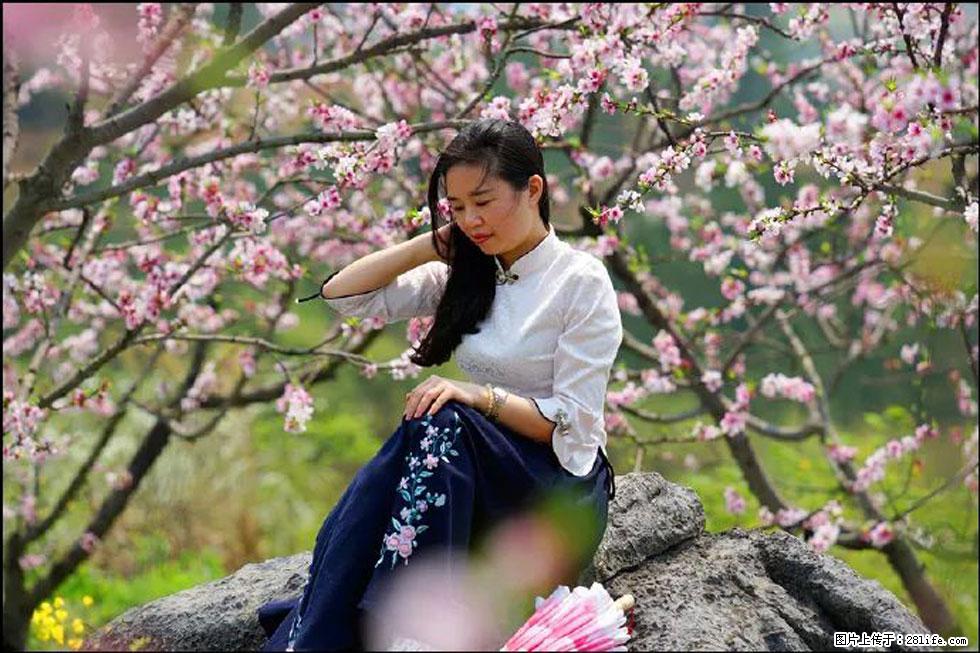 【春天，广西桂林灌阳县向您发出邀请！】望月岭上桃花开 - 游山玩水 - 沧州生活社区 - 沧州28生活网 cangzhou.28life.com