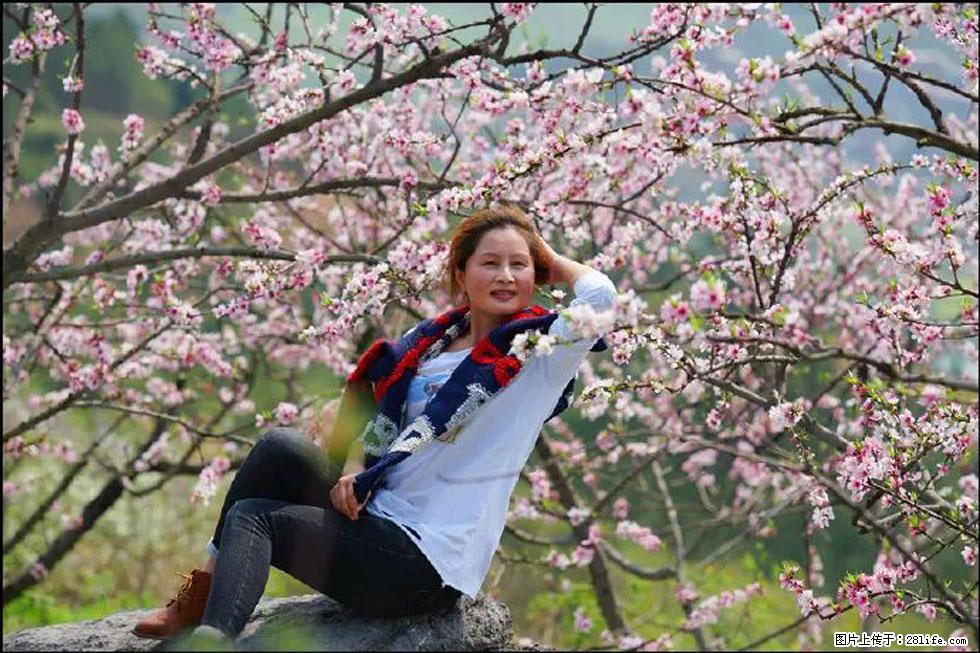 【春天，广西桂林灌阳县向您发出邀请！】望月岭上桃花开 - 游山玩水 - 沧州生活社区 - 沧州28生活网 cangzhou.28life.com