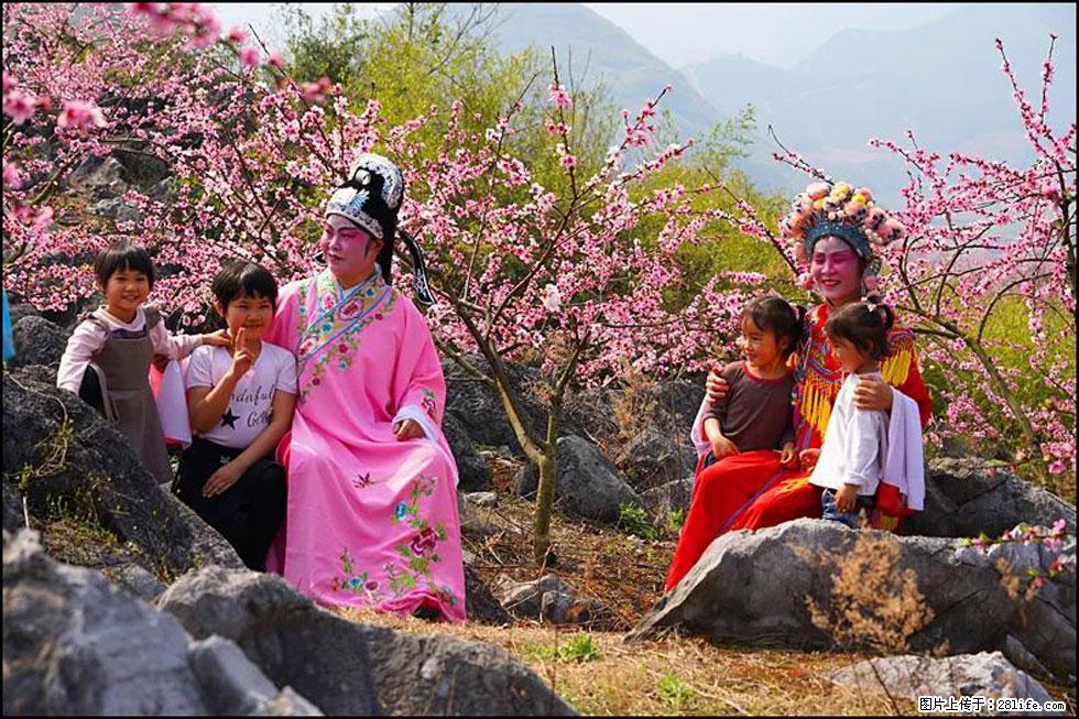 【春天，广西桂林灌阳县向您发出邀请！】望月岭上桃花开 - 游山玩水 - 沧州生活社区 - 沧州28生活网 cangzhou.28life.com