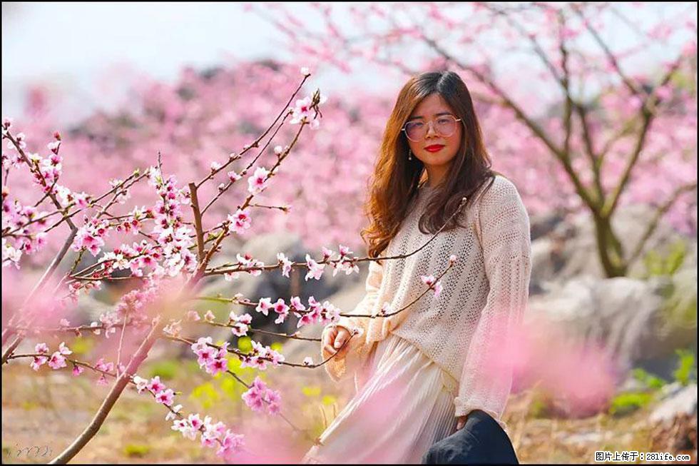 【春天，广西桂林灌阳县向您发出邀请！】望月岭上桃花开 - 游山玩水 - 沧州生活社区 - 沧州28生活网 cangzhou.28life.com