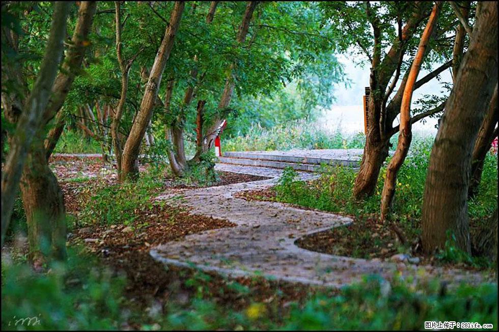 【春天,广西桂林灌阳县向您发出邀请!】熊家寨湿地公园 - 游山玩水 - 沧州生活社区 - 沧州28生活网 cangzhou.28life.com