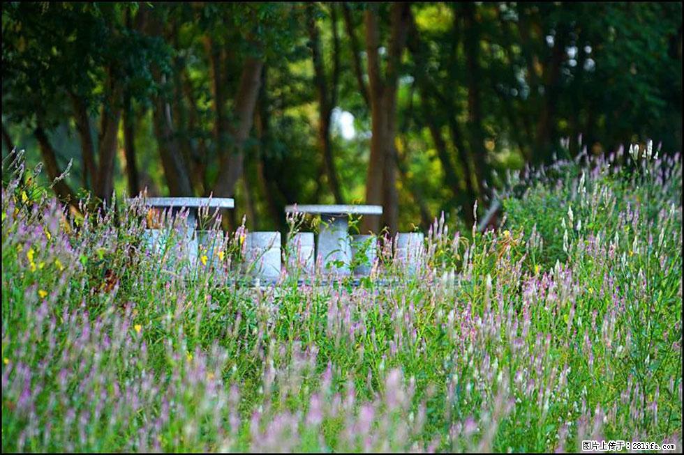 【春天,广西桂林灌阳县向您发出邀请!】熊家寨湿地公园 - 游山玩水 - 沧州生活社区 - 沧州28生活网 cangzhou.28life.com