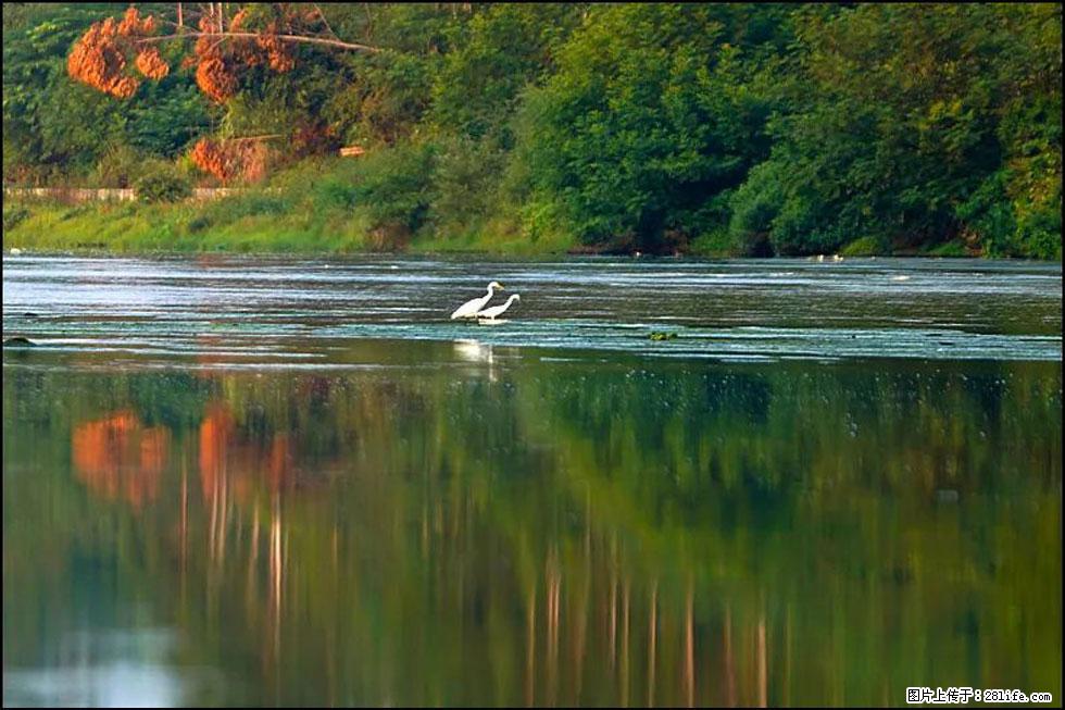 【春天,广西桂林灌阳县向您发出邀请!】熊家寨湿地公园 - 游山玩水 - 沧州生活社区 - 沧州28生活网 cangzhou.28life.com