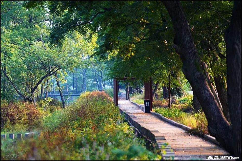 【春天,广西桂林灌阳县向您发出邀请!】熊家寨湿地公园 - 游山玩水 - 沧州生活社区 - 沧州28生活网 cangzhou.28life.com