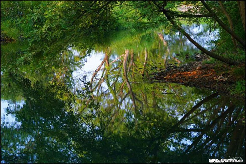 【春天,广西桂林灌阳县向您发出邀请!】熊家寨湿地公园 - 游山玩水 - 沧州生活社区 - 沧州28生活网 cangzhou.28life.com