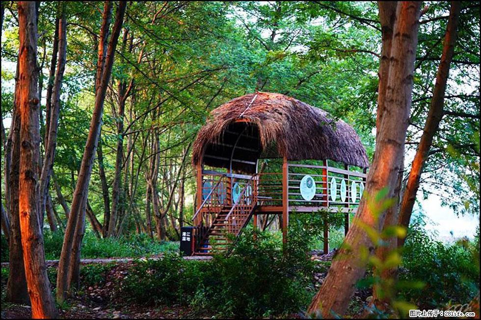 【春天,广西桂林灌阳县向您发出邀请!】熊家寨湿地公园 - 游山玩水 - 沧州生活社区 - 沧州28生活网 cangzhou.28life.com