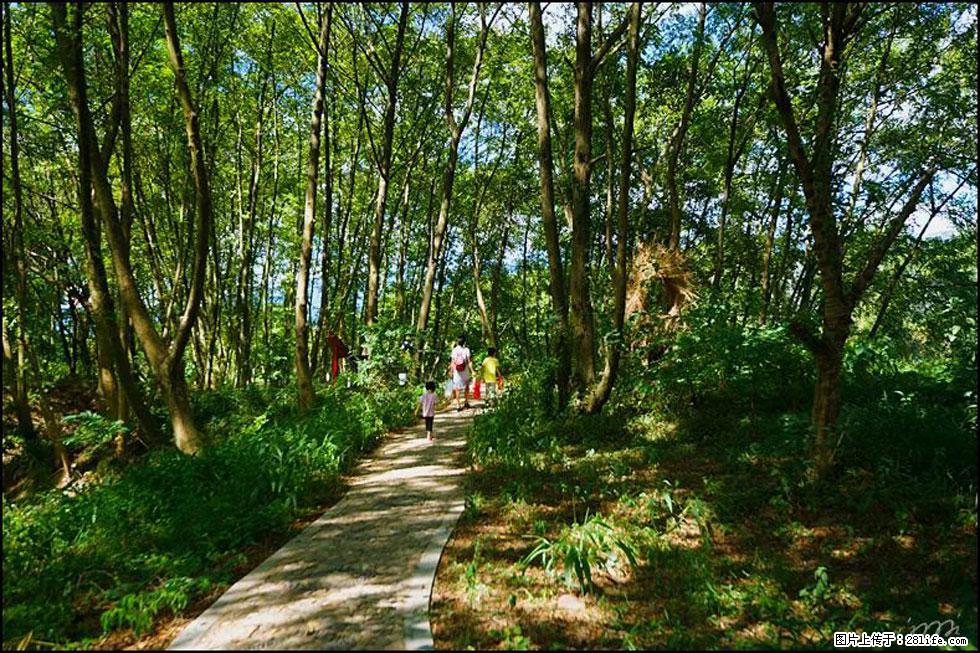 【春天,广西桂林灌阳县向您发出邀请!】熊家寨湿地公园 - 游山玩水 - 沧州生活社区 - 沧州28生活网 cangzhou.28life.com