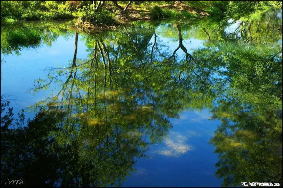 【春天,广西桂林灌阳县向您发出邀请!】熊家寨湿地公园 - 游山玩水 - 沧州生活社区 - 沧州28生活网 cangzhou.28life.com