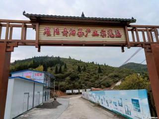 【灌阳县油茶产业示范区】一个有着充实的精神生活的人，对待身外之物自会有一种淡泊的态度 - 沧州28生活网 cangzhou.28life.com