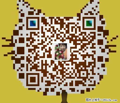 嘉禾一方10楼二室二厅双床步艺沙发液晶电视全自动洗衣机家具炉 - 房屋出租 - 房屋租售 - 沧州分类信息 - 沧州28生活网 cangzhou.28life.com