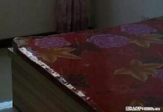 署西街四中宿舍 两室一厅 拎包入住 - 沧州28生活网 cangzhou.28life.com