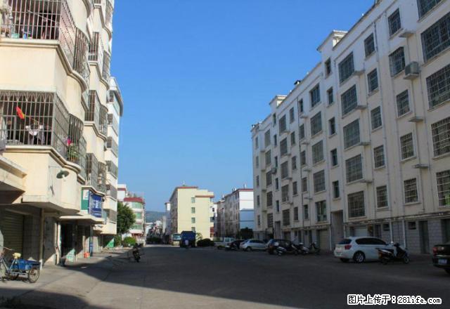 东环小区 代家具家电 环境好 半封闭小区 - 房屋出租 - 房屋租售 - 沧州分类信息 - 沧州28生活网 cangzhou.28life.com