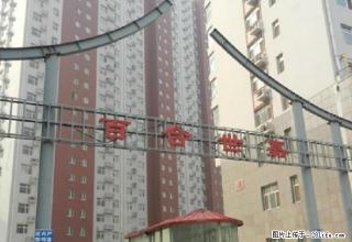 百合世嘉 中等装修 拎包入住 环境好 - 沧州28生活网 cangzhou.28life.com