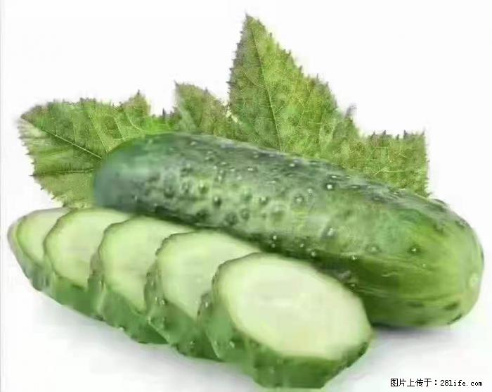 【生活小常识】吃黄瓜的好处 - 生活百科 - 沧州生活社区 - 沧州28生活网 cangzhou.28life.com