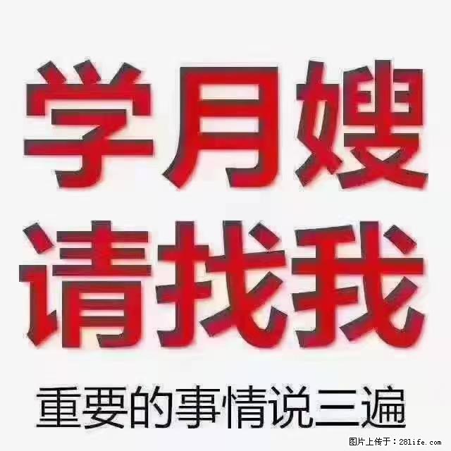 【招聘】月嫂,上海徐汇区 - 职场交流 - 沧州生活社区 - 沧州28生活网 cangzhou.28life.com