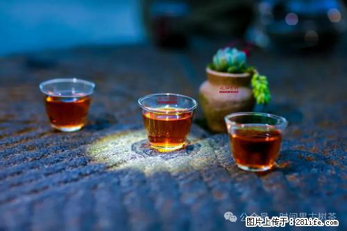 时间果百年古树2025年春红茶 - 购物交流 - 沧州生活社区 - 沧州28生活网 cangzhou.28life.com