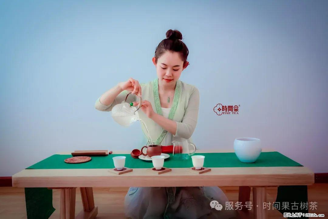 时间果百年古树龙珠普洱生茶 - 购物交流 - 沧州生活社区 - 沧州28生活网 cangzhou.28life.com