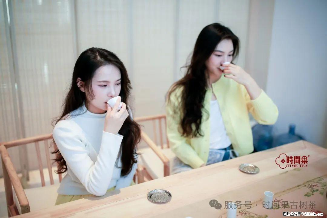 时间果百年古树龙珠普洱生茶 - 购物交流 - 沧州生活社区 - 沧州28生活网 cangzhou.28life.com