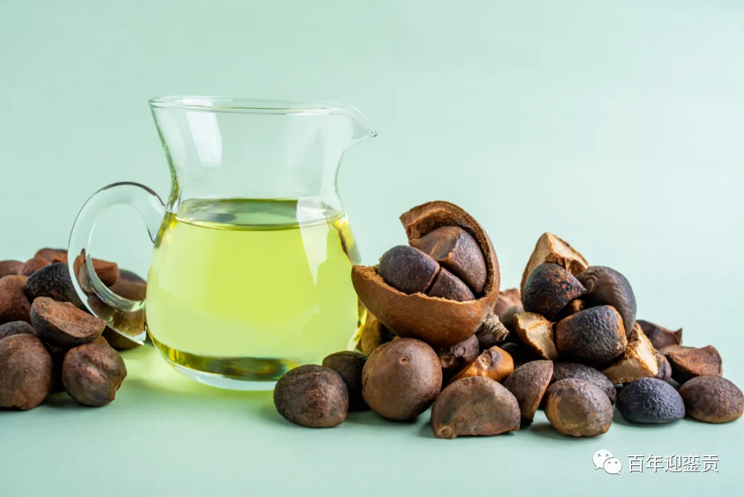 世界没有真相,只有认知,最好的食用油是中国的山茶油! - 沧州生活资讯 - 沧州28生活网 cangzhou.28life.com