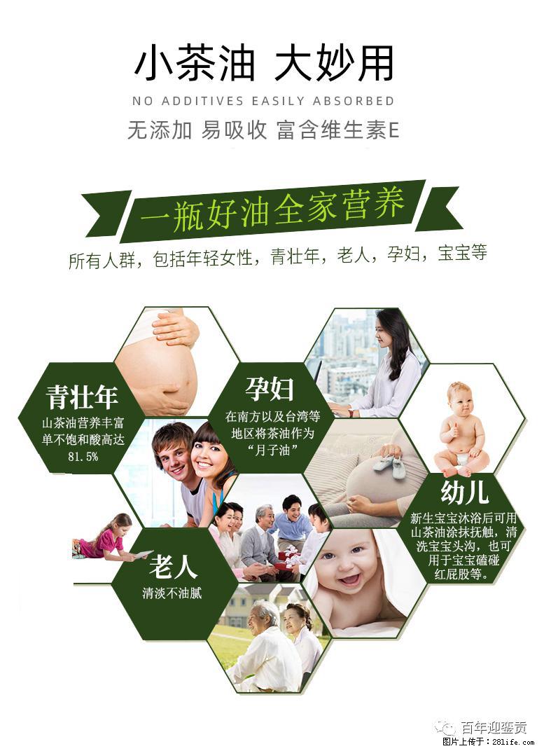 世界没有真相,只有认知,最好的食用油是中国的山茶油! - 沧州生活资讯 - 沧州28生活网 cangzhou.28life.com