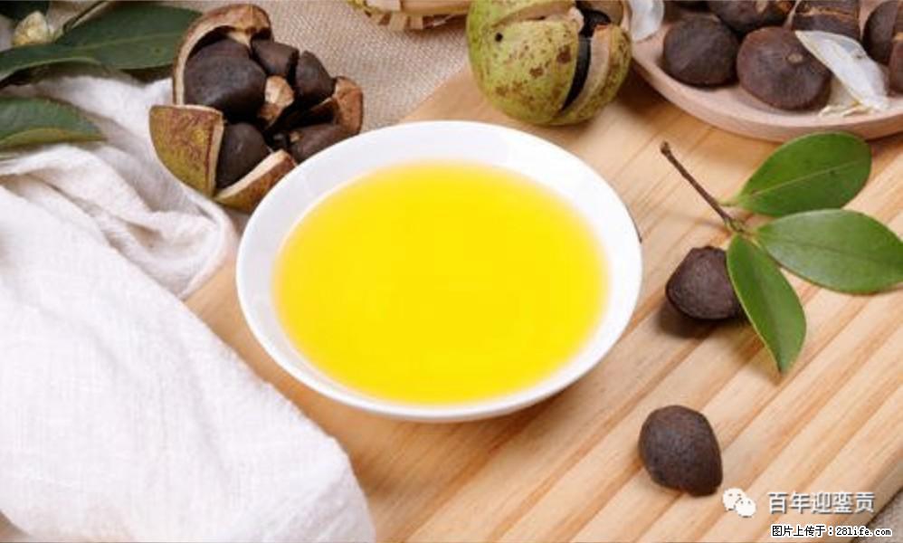 世界没有真相,只有认知,最好的食用油是中国的山茶油! - 沧州生活资讯 - 沧州28生活网 cangzhou.28life.com