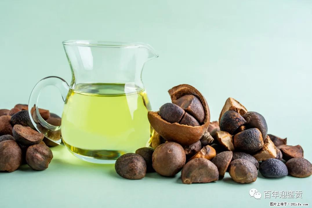 世界没有真相，只有认知，最好的食用油是中国的山茶油！ - 沧州生活资讯 - 沧州28生活网 cangzhou.28life.com
