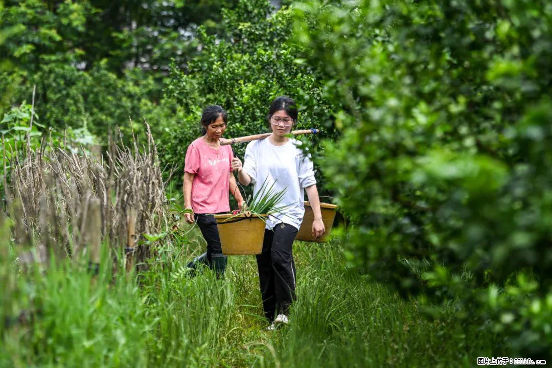 全网追的“扁担女孩”，找了一份暑假工，时薪12元 - 沧州生活资讯 - 沧州28生活网 cangzhou.28life.com