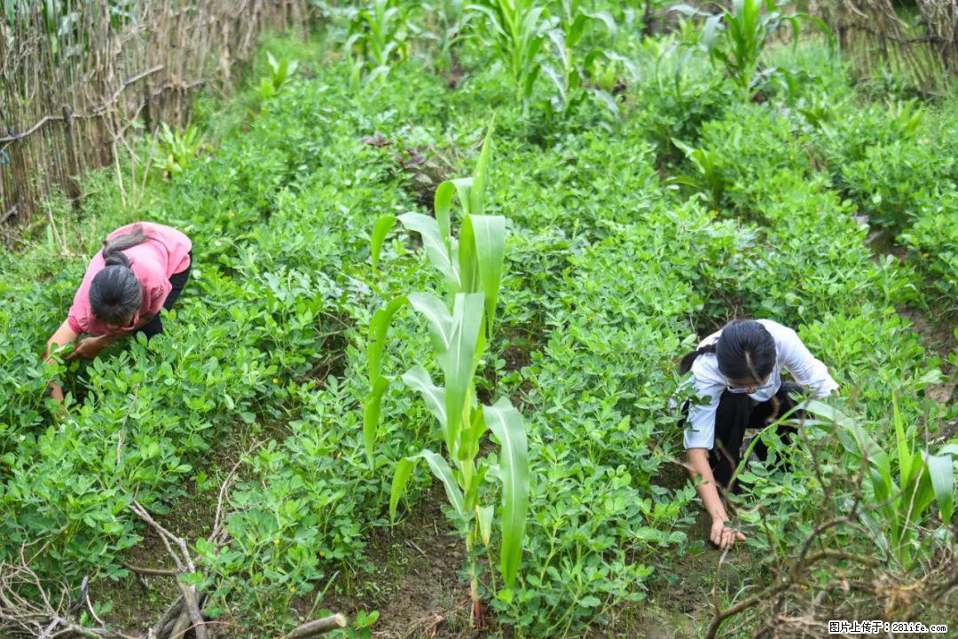 全网追的“扁担女孩”，找了一份暑假工，时薪12元 - 沧州生活资讯 - 沧州28生活网 cangzhou.28life.com