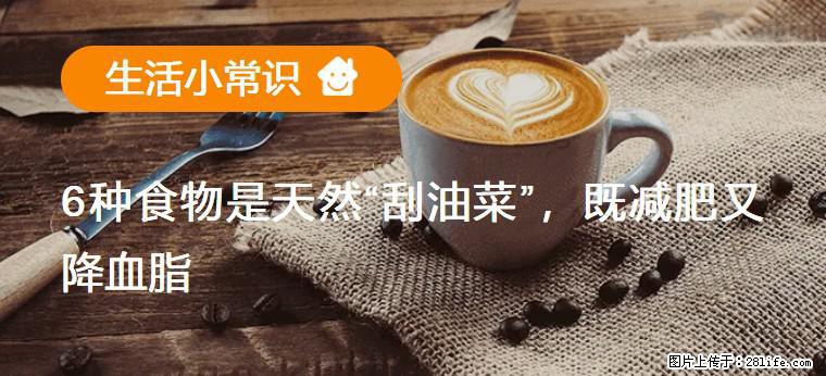 【生活小常识】6种食物是天然“刮油菜”,既减肥又降血脂 - 沧州生活资讯 - 沧州28生活网 cangzhou.28life.com