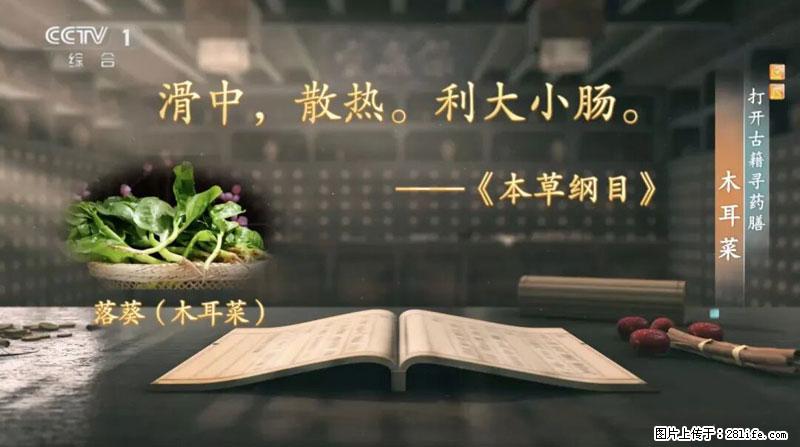 比牛奶补钙还厉害!凉血解毒、稳血糖...这菜冬天必吃,很多人却当草 - 沧州生活资讯 - 沧州28生活网 cangzhou.28life.com