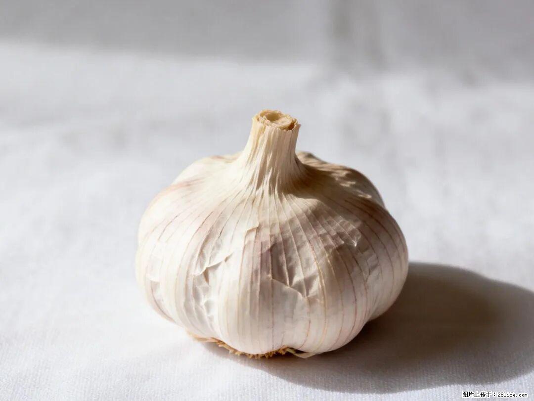 关于大蒜，除了“天然抗生素”，这4个谣言更该警惕! - 沧州生活资讯 - 沧州28生活网 cangzhou.28life.com