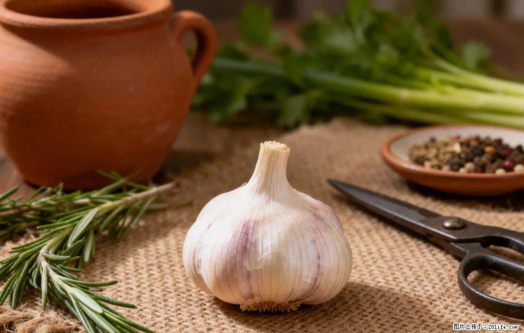 关于大蒜，除了“天然抗生素”，这4个谣言更该警惕! - 沧州生活资讯 - 沧州28生活网 cangzhou.28life.com