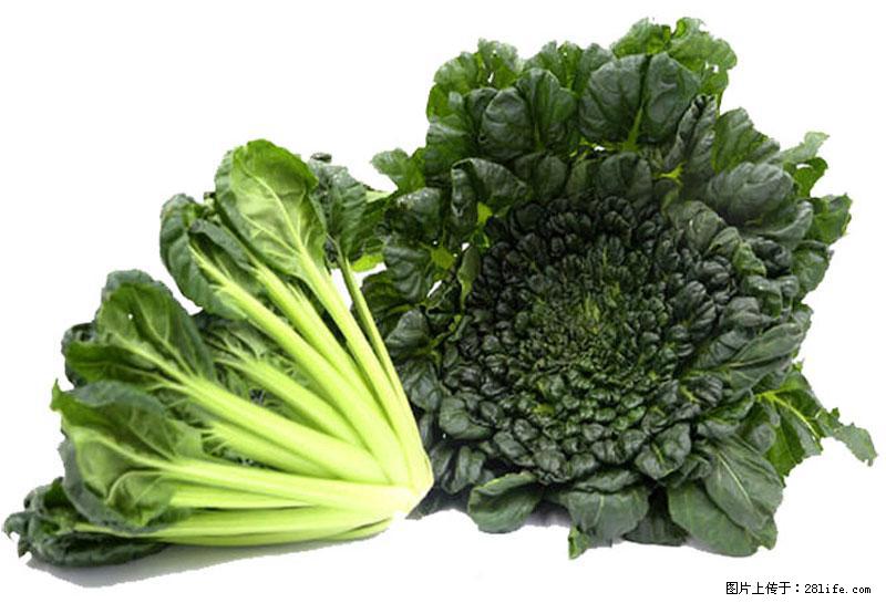 这些蔬菜是“天然钙片”，这6种被医生重点推荐 - 沧州生活资讯 - 沧州28生活网 cangzhou.28life.com