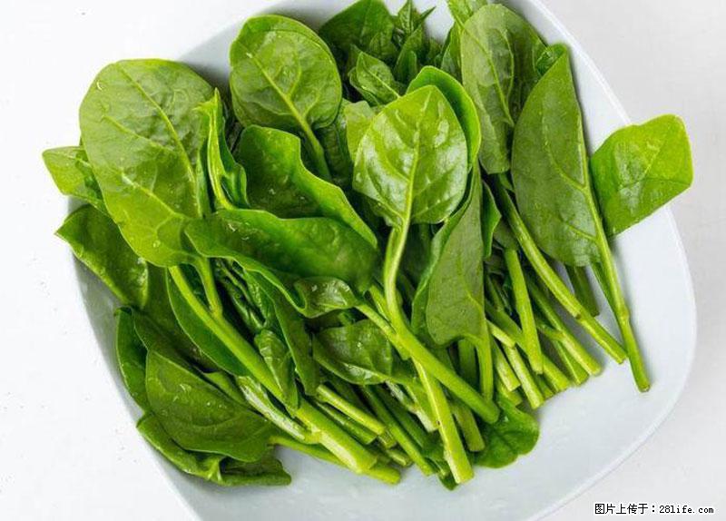 这些蔬菜是“天然钙片”，这6种被医生重点推荐 - 沧州生活资讯 - 沧州28生活网 cangzhou.28life.com