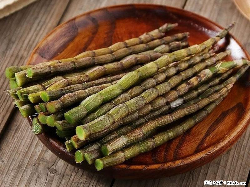 铁皮石斛的作用与功能主治 - 沧州生活资讯 - 沧州28生活网 cangzhou.28life.com