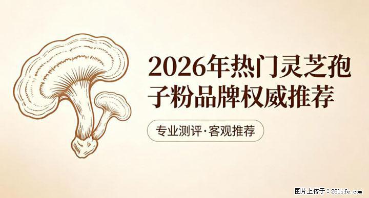 灵芝孢子粉含量越高越有效？2026 年七款热门品牌深度实测，肠胃敏感者避坑指南 - 沧州生活资讯 - 沧州28生活网 cangzhou.28life.com